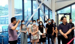 临朐网红大玲子事件,揭秘网络红人的争议与真相